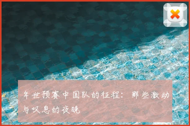 年世预赛中国队的征程：那些激动与叹息的夜晚